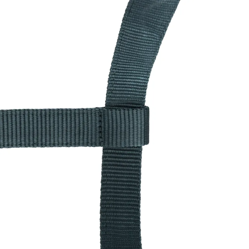 Shires Arma Adjustable Headcollar Green-5