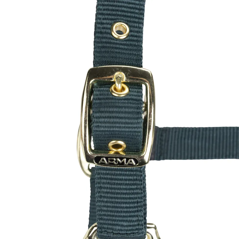 Shires Arma Adjustable Headcollar Green-4