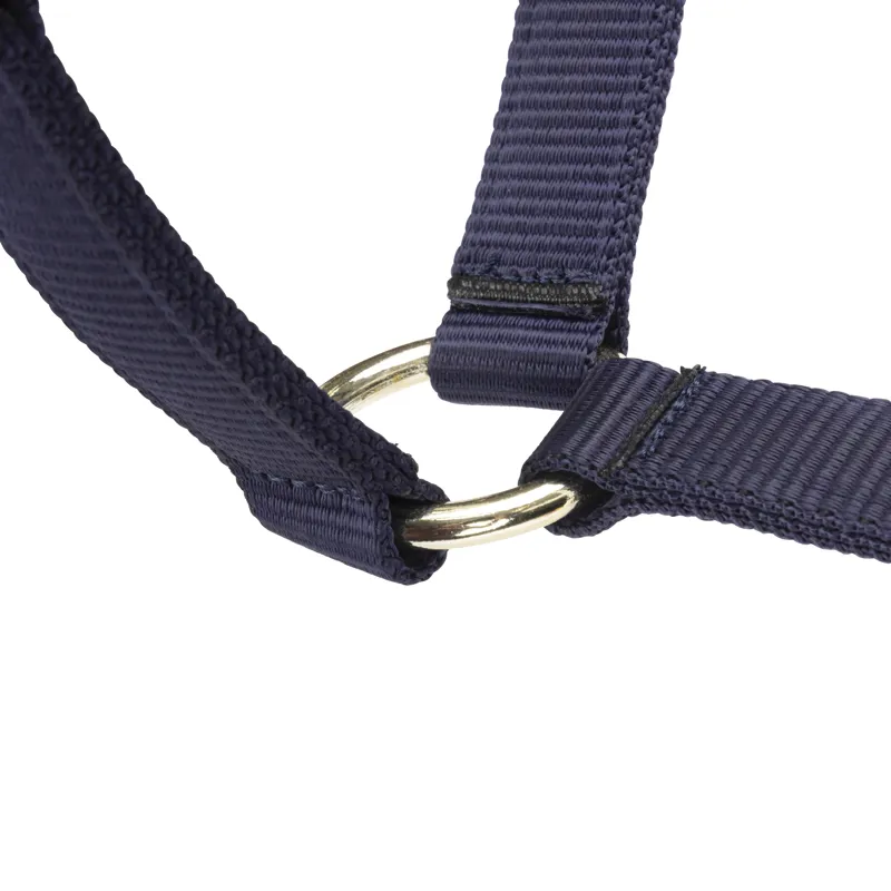 Shires Arma Adjustable Headcollar Navy-3