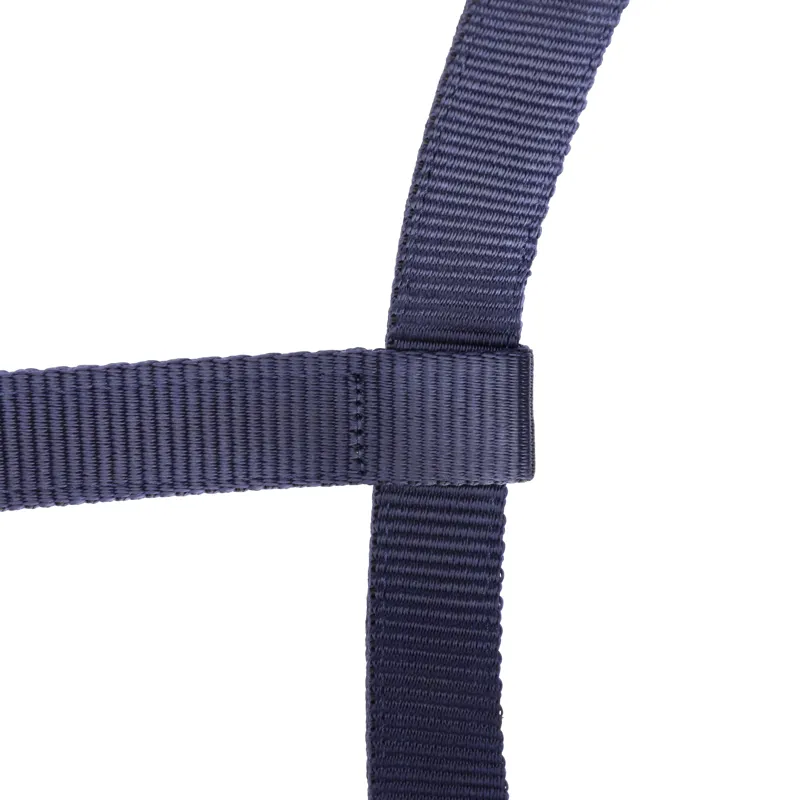 Shires Arma Adjustable Headcollar Navy-4