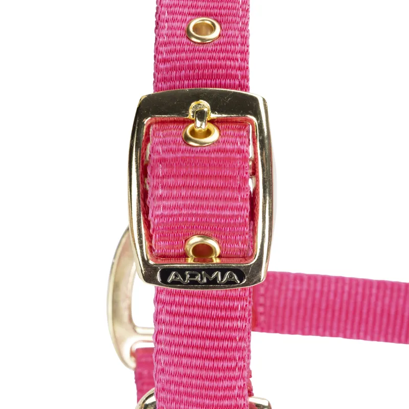 Shires Arma Adjustable Headcollar Pink-2