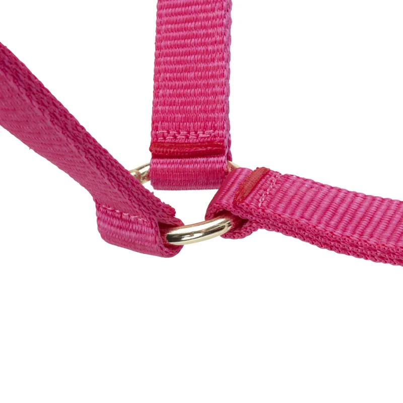 Shires Arma Adjustable Headcollar Pink-3