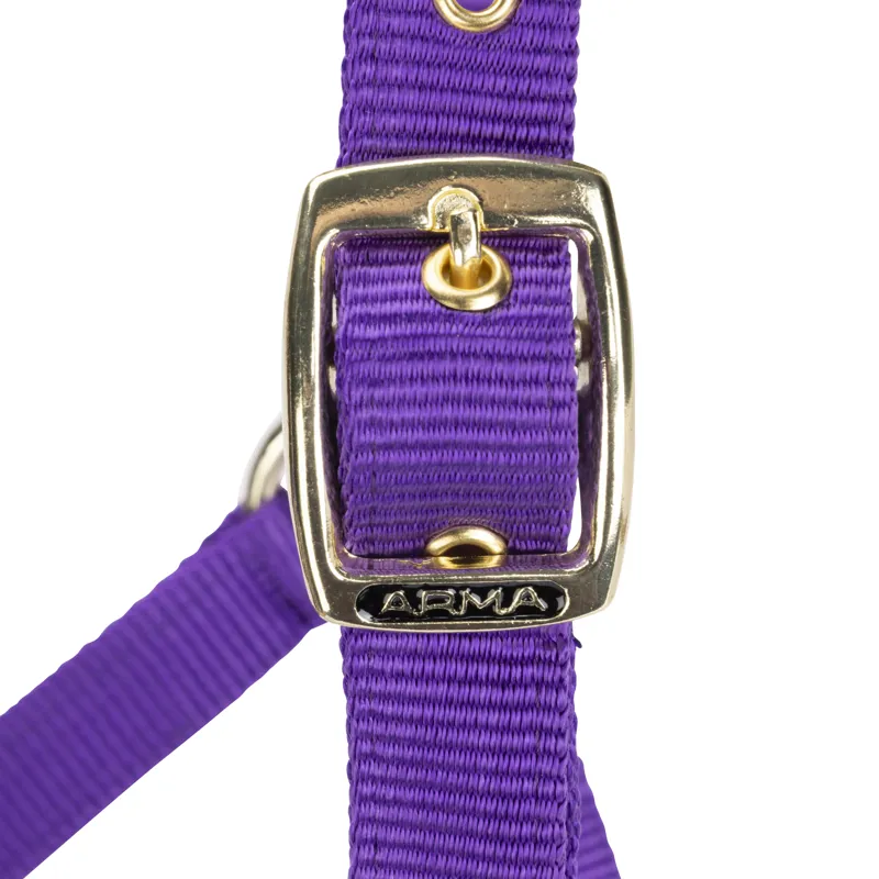 Shires Arma Adjustable Headcollar Purple-1