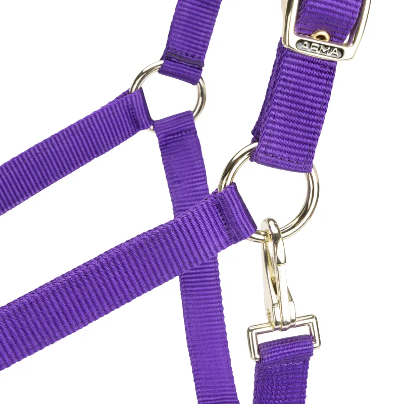 Shires Arma Adjustable Headcollar Purple-2