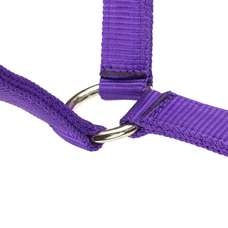 Shires Arma Adjustable Headcollar Purple-4