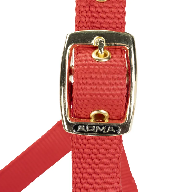 Shires Arma Adjustable Headcollar Red-1