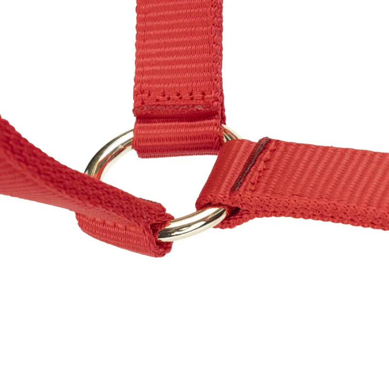 Shires Arma Adjustable Headcollar Red-2