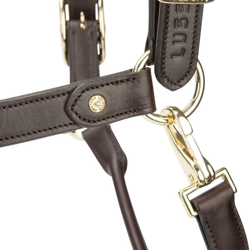 Shires Lusso Soria Control Leather Headcollar Havana-5