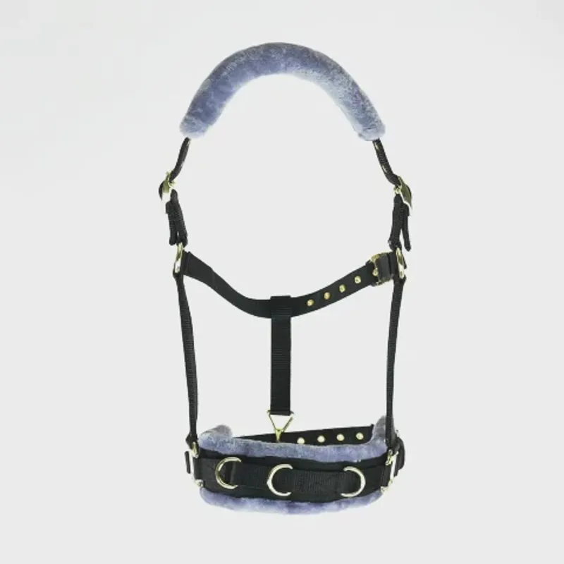 Shires Fleece Lined Lunge Cavesson Black-1