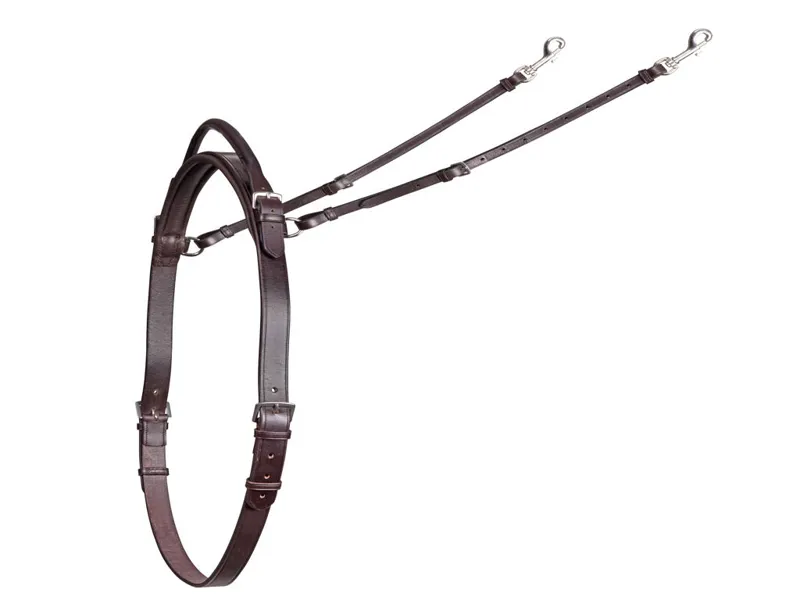 Shires Gara Neck Strap With Handle Havana-1
