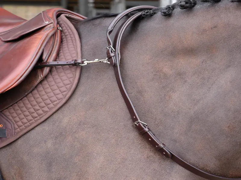 Shires Gara Neck Strap With Handle Havana