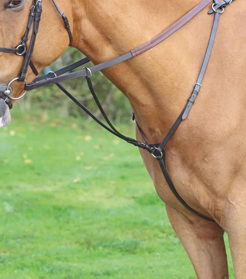 Shires Aviemore Hunt Weight Breastplate Brown