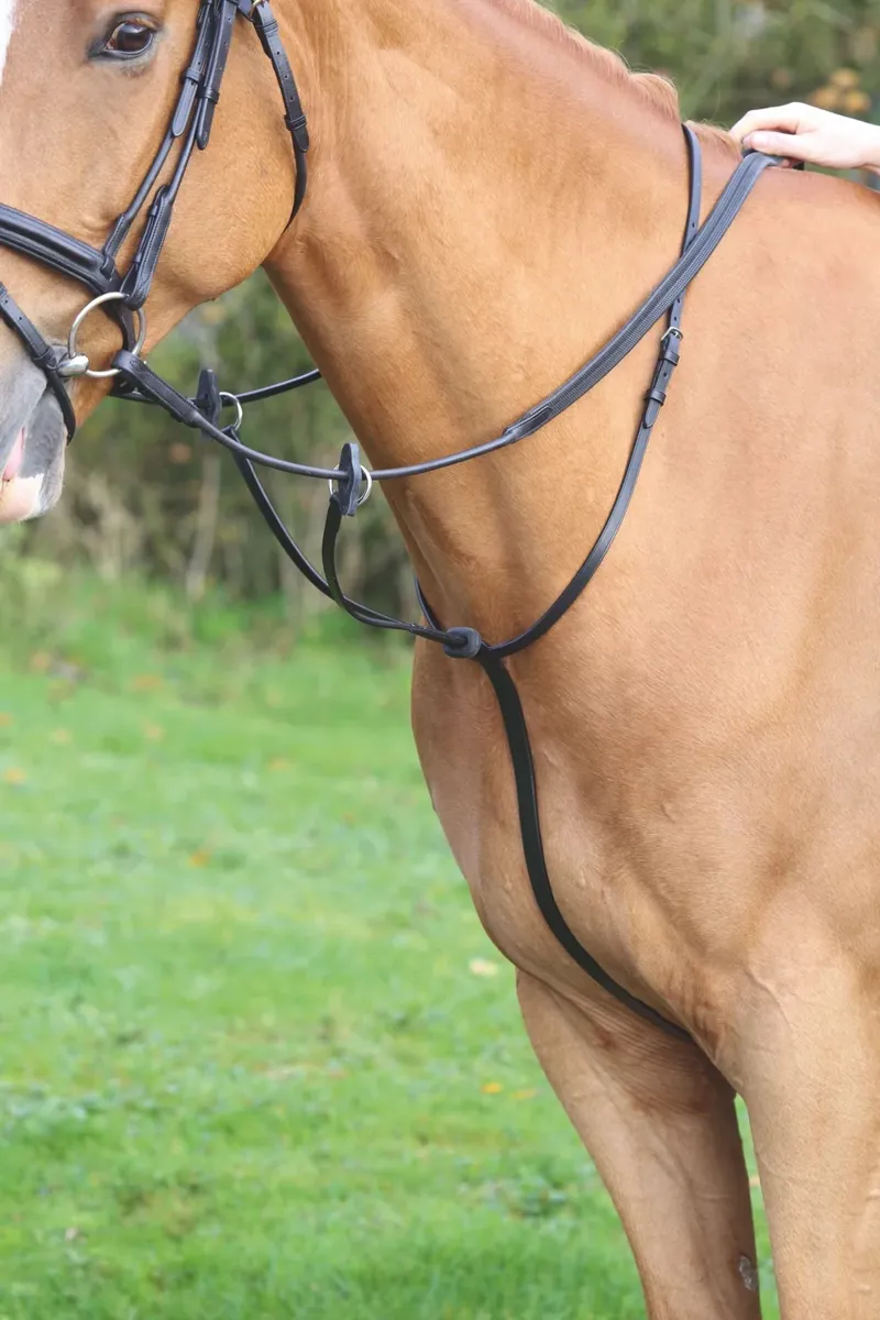 Shires Velociti Gara Running Martingale Black