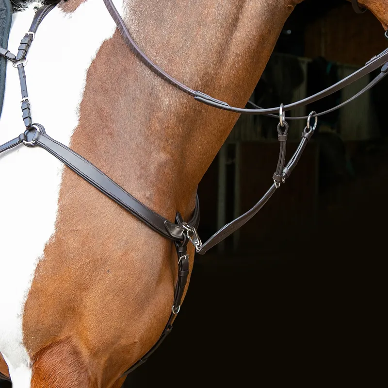 Shires Velociti  Rapida Ergonomic Breastplate Havana