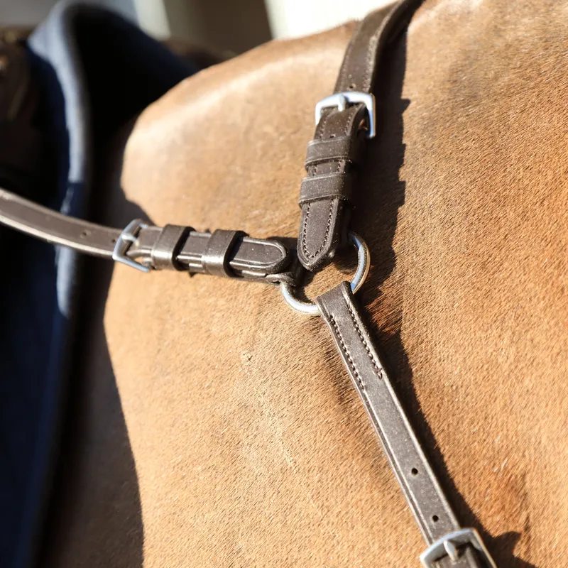 Shires Velociti  Rapida Ergonomic Breastplate Havana-1