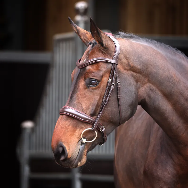 Shires Lusso Elite Padded Caveson Bridle Havana