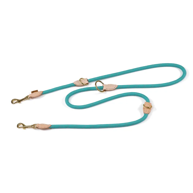 Digby and Fox Reflective Training Lead 180cm Teal