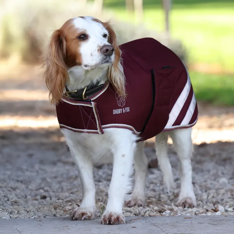Shires Digby And Fox Lite Waterproof Dog Coat Maroon