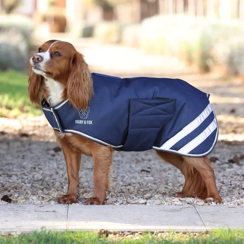 Shires Digby And Fox Waterproof Dog Coat Navy