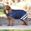 Shires Digby And Fox Waterproof Dog Coat Navy