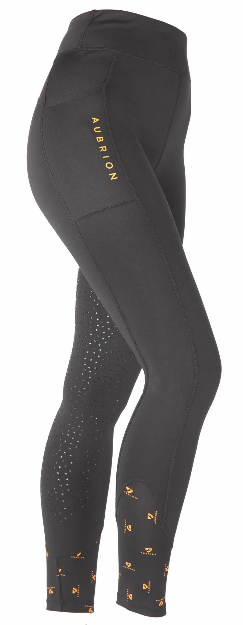 Shires Aubrion Porter Ladies Winter Riding Tights Black-1