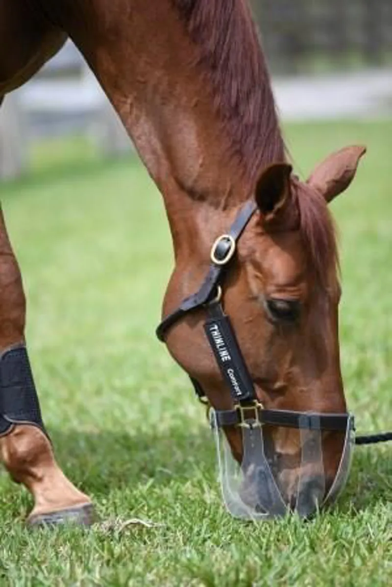 ThinLine Flexible Filly Grazing Muzzle 2.5cm-2