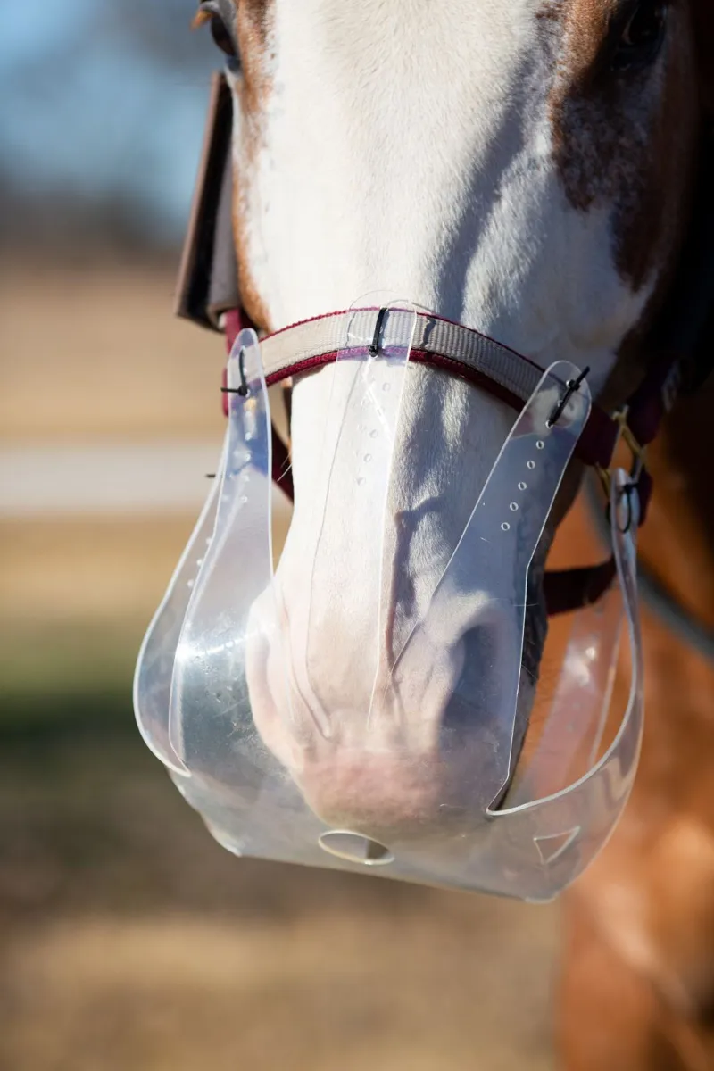 ThinLine Flexible Filly Grazing Muzzle 2.5cm-1