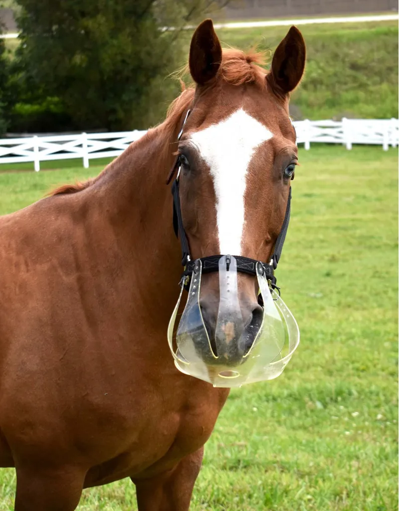 ThinLine Flexible Filly Grazing Muzzle 3.5cm