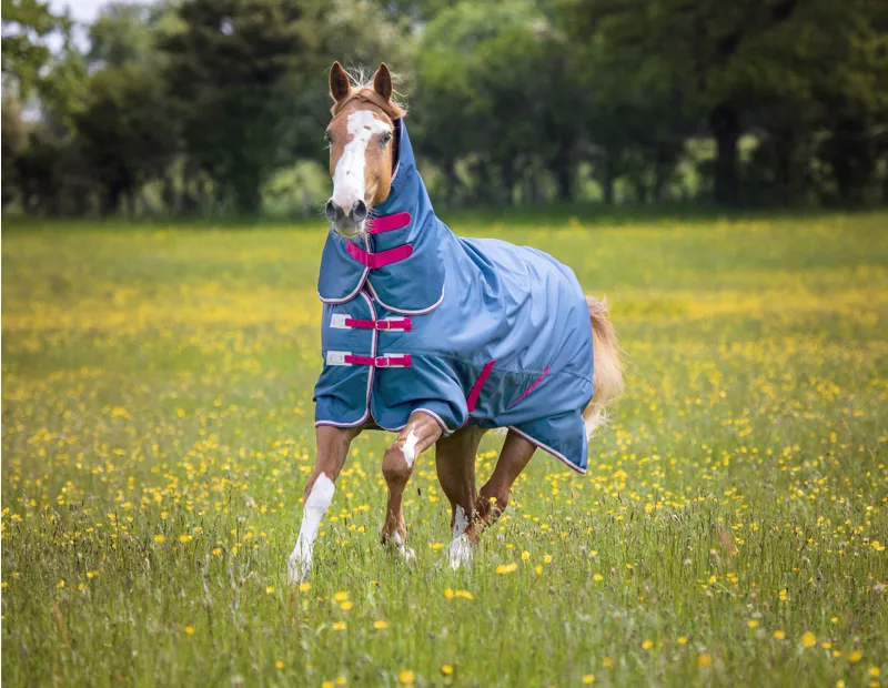 Shires Tempest Original 0g Light Weight Turnout Rug Combo Teal-1