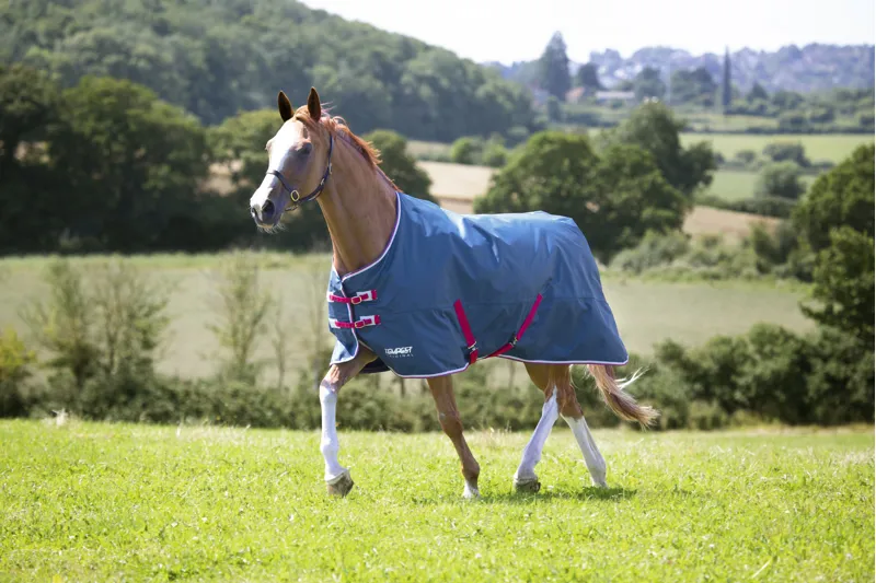 Shires Tempest Original 0g Light Weight Turnout Rug  Teal-1