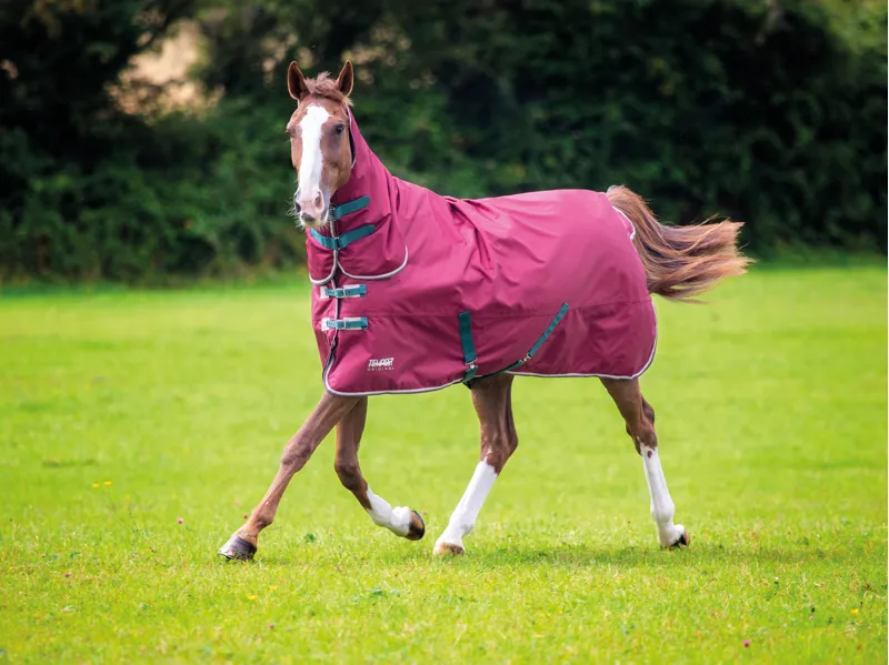 Shires Tempest Original 200g Medium Weight Turnout Rug Combo