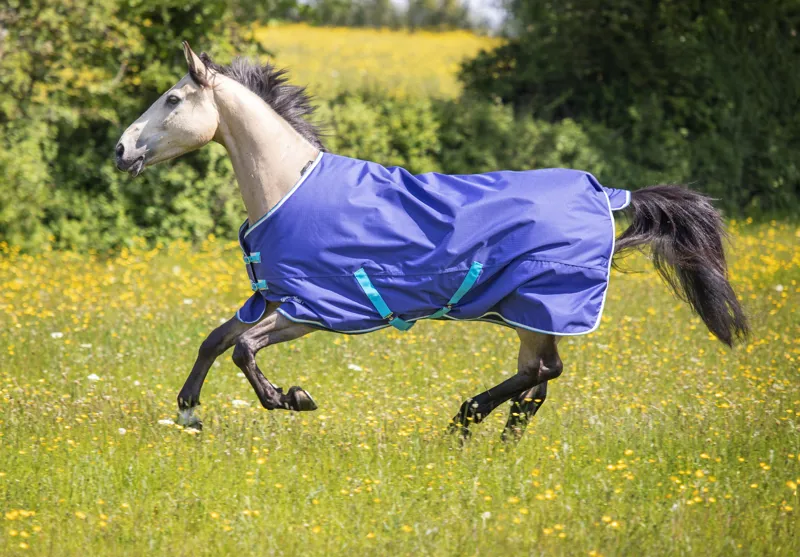 Shires Tempest Original 100g Light/Medium Weight Turnout Rug Navy
