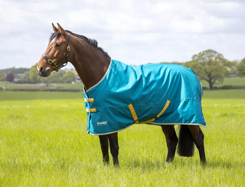 Shires Tempest Original 50g Light Weight Turnout Rug Navy Blue