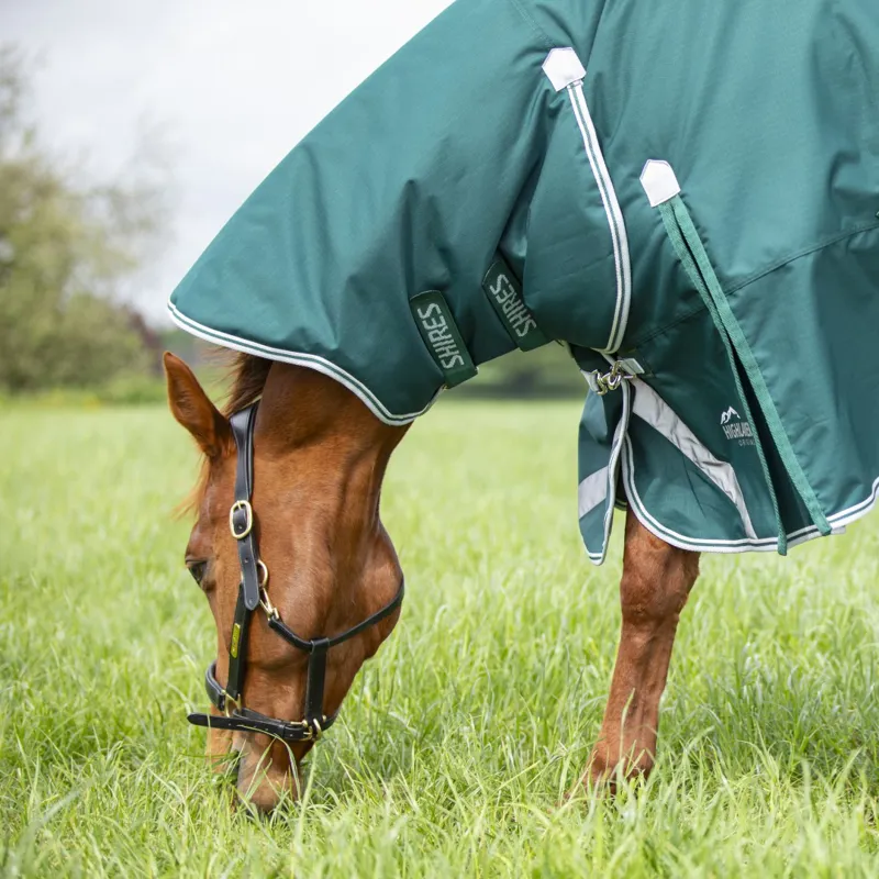 Shires Highlander Original 300g Combo Turnout Rug Green-2