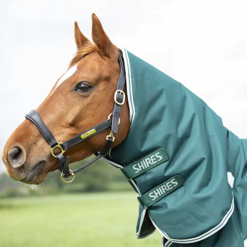 Shires Highlander Original 300g Combo Turnout Rug Green-3
