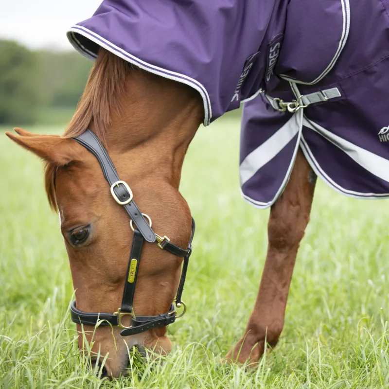 Shires Highlander Original 100g Turnout Rug And Neck Set Plum-1