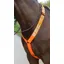 Shires Equi-Flector Hi-Viz Breastplate Orange