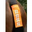 Shires Equi-Flector Tail Strap Orange