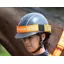 Shires Equi-Flector Hat Band Orange