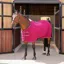 Shires Tempest Original Fleece Rug Maroon