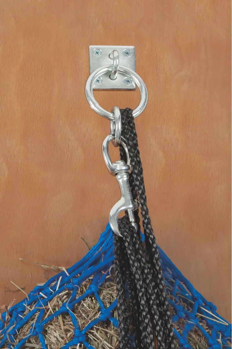 Shires Haynet Tie Ring With Plate