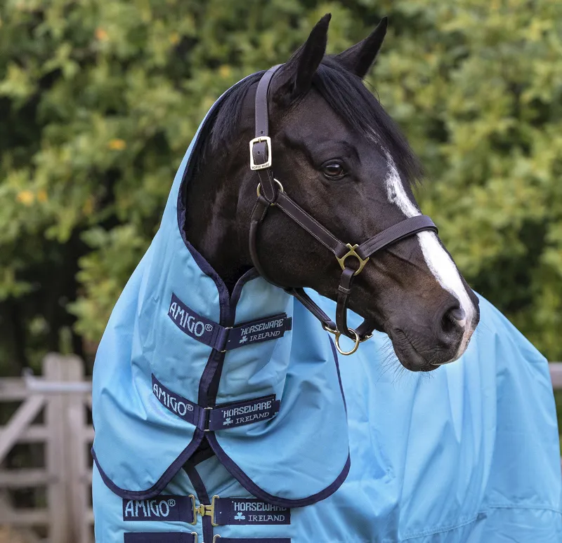 Amigo Hero Ripstop Plus 100g Medium/Lite Turnout Rug Delphinium Blue-1