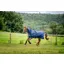 Horseware Amigo 1200D Plus 50g Light Weight Detachable Neck Turnout Rug Navy/Titanium/Grey/Silver