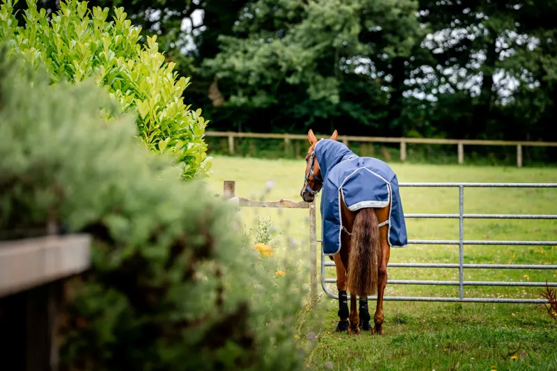 Horseware Amigo 1200D Plus 50g Light Weight Detachable Neck Turnout Rug Navy/Titanium/Grey/Silver-5