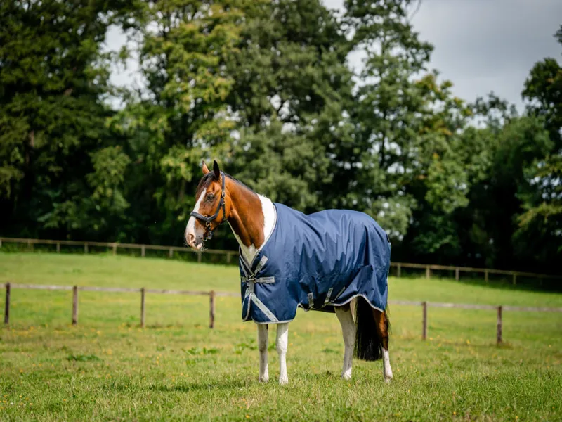 Amigo Bravo 12 XL 0g Light Weight Turnout Rug Navy/Titanium Grey And Silver