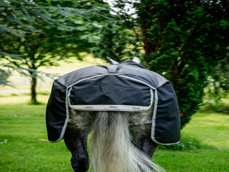 Amigo Bravo 12 XL 0g Light Weight Turnout Rug Navy/Titanium Grey And Silver-3