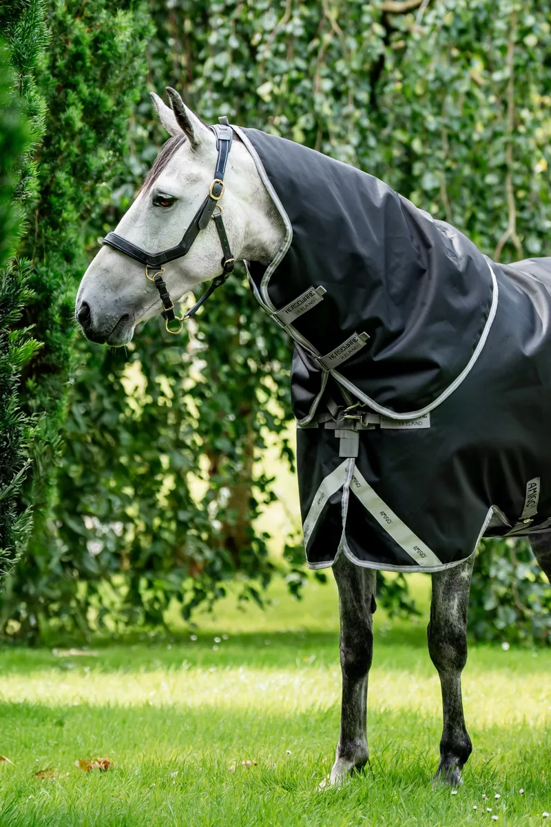 Amigo Bravo 12 XL 0g Light Weight Turnout Rug Neck/Hood Navy/Titanium Grey And Silver
