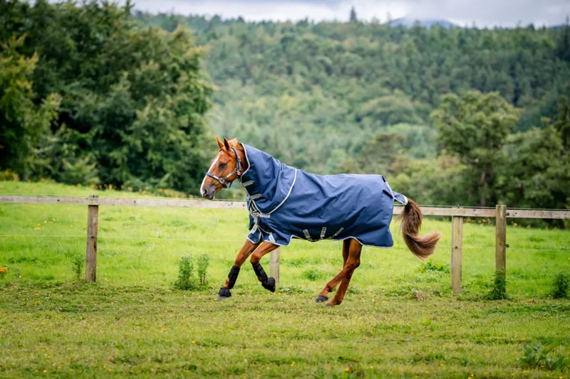 Horseware Amigo Bravo 12 Pony Plus 0g Light Weight Turnout Rug Navy/Titanium Grey And Silver