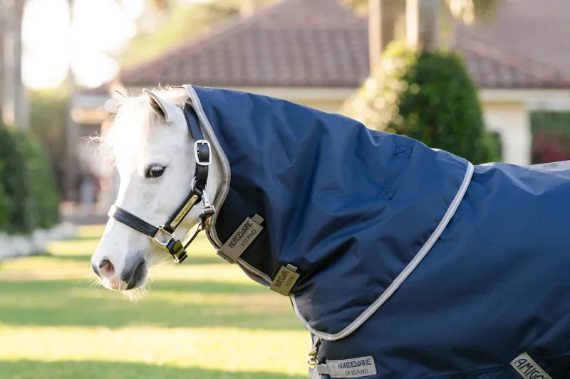 Amigo Bravo 1200D Pony Plus 250g Medium Weight Turnout Rug Navy/Titanium Grey-1