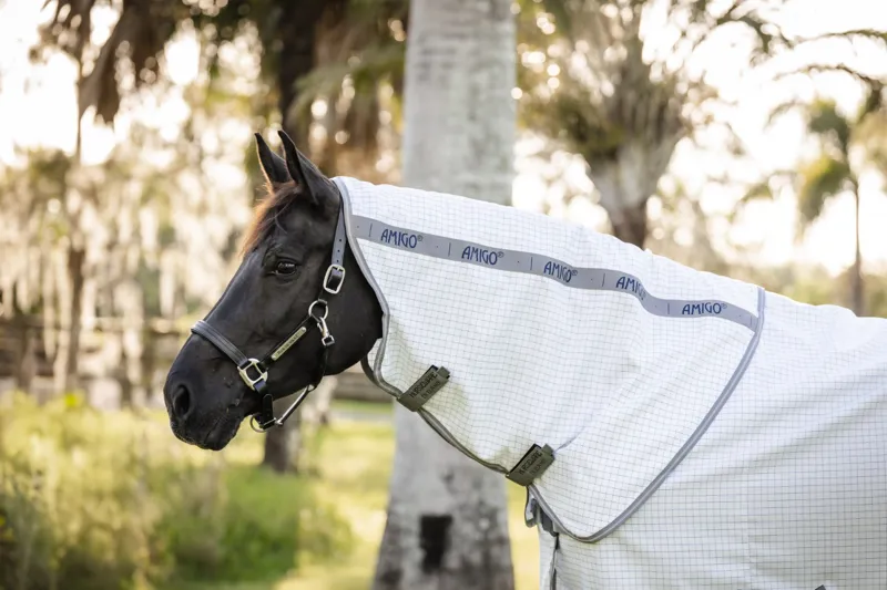 Amigo Summer Sheet Plus Navy Check/Titanium Grey And Silver-1